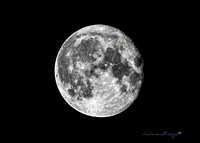 moon July 14 2022